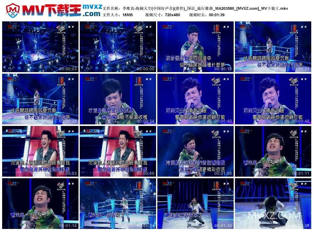 李维真-海阔天空(中国好声音)(消伴)_国语_流行歌曲_MA203580